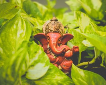 Quelle est la particularité de Ganesh ?